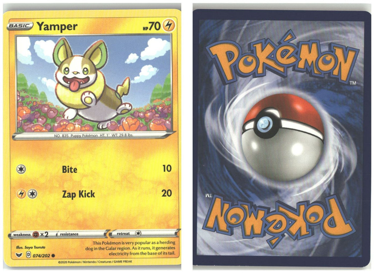 Front + Back scan