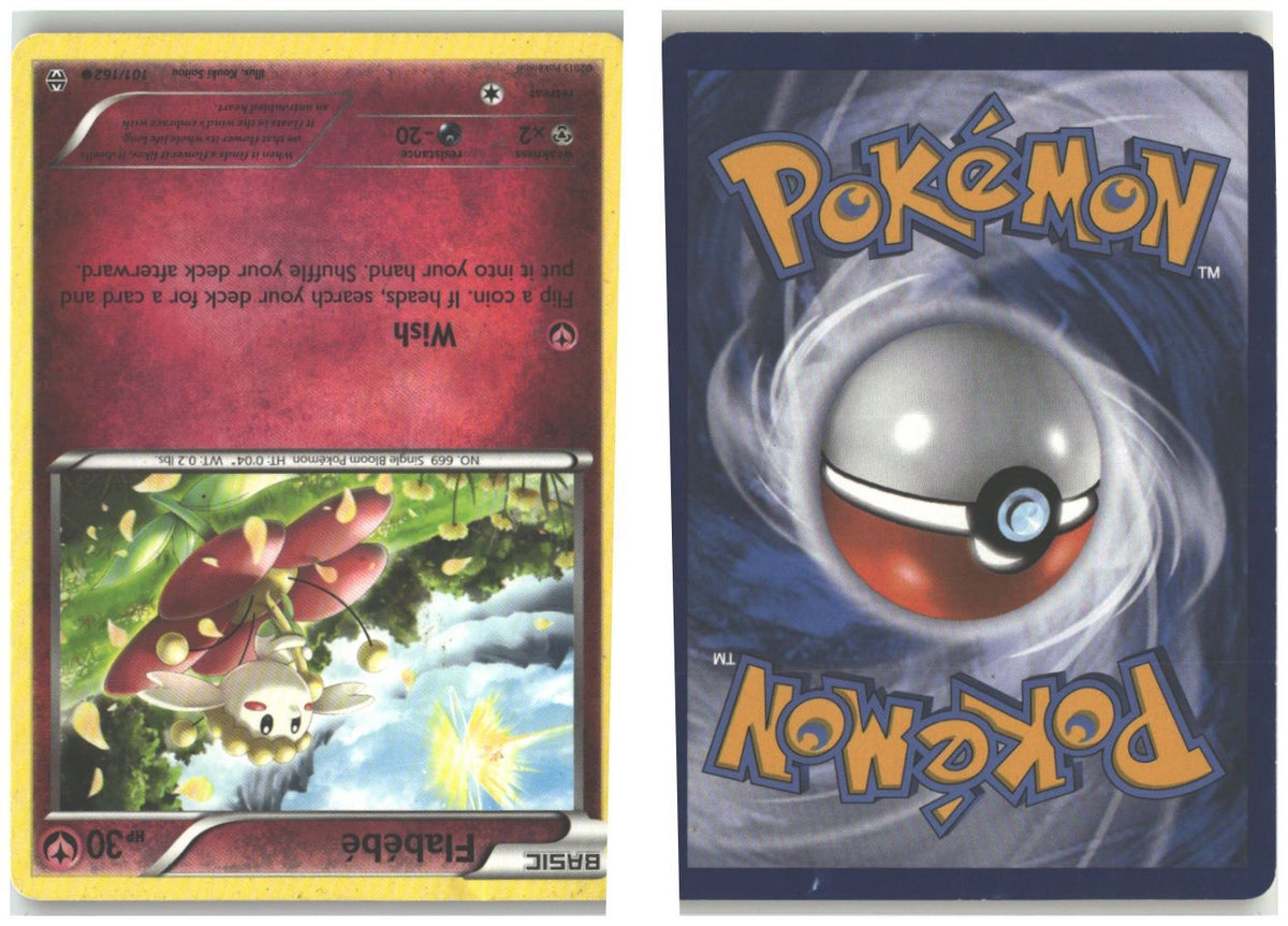 Front + Back scan