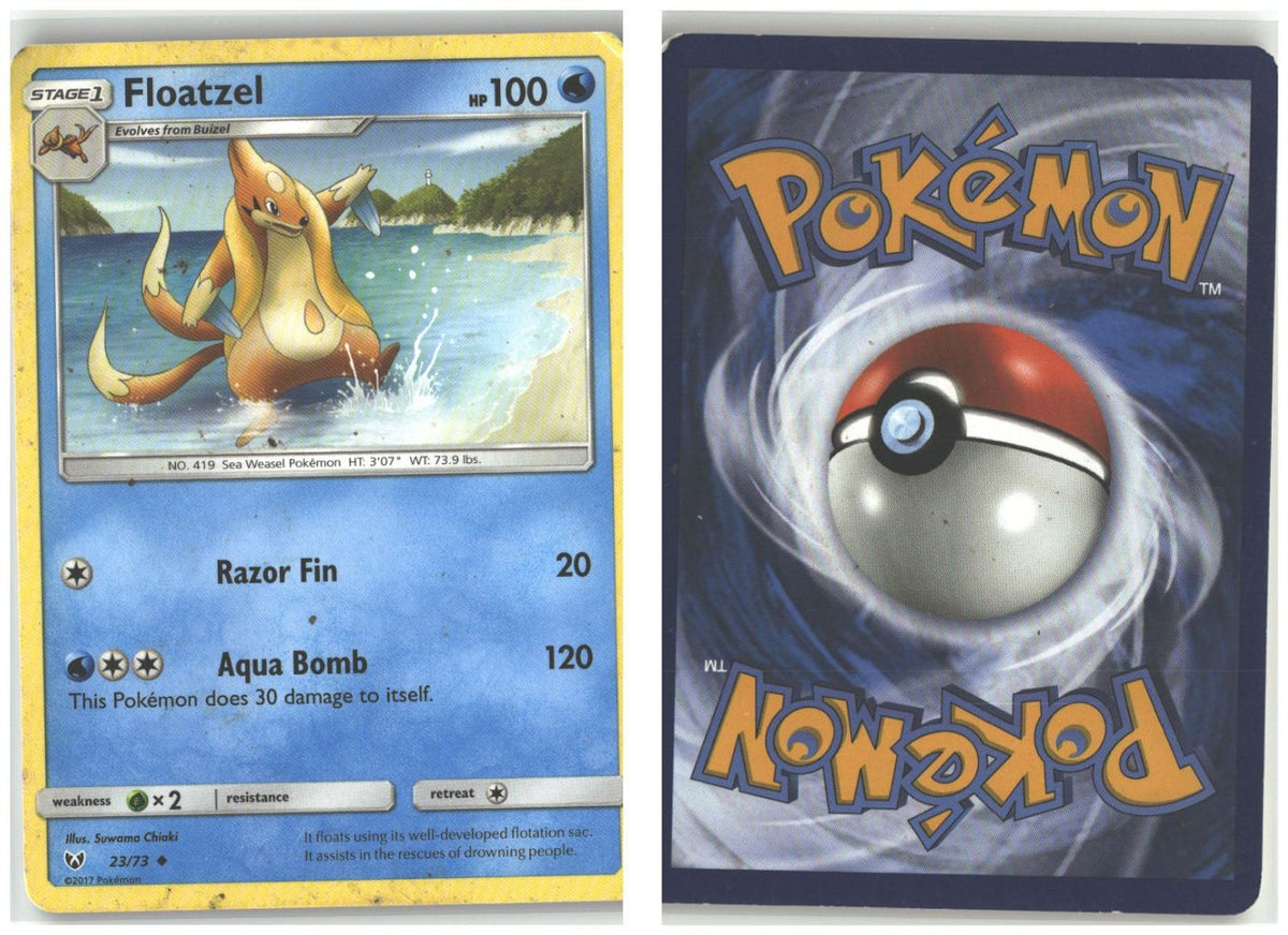 Front + Back scan