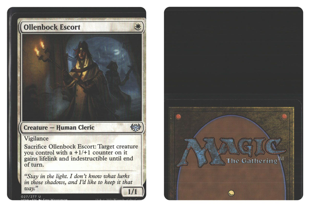 Front + Back scan