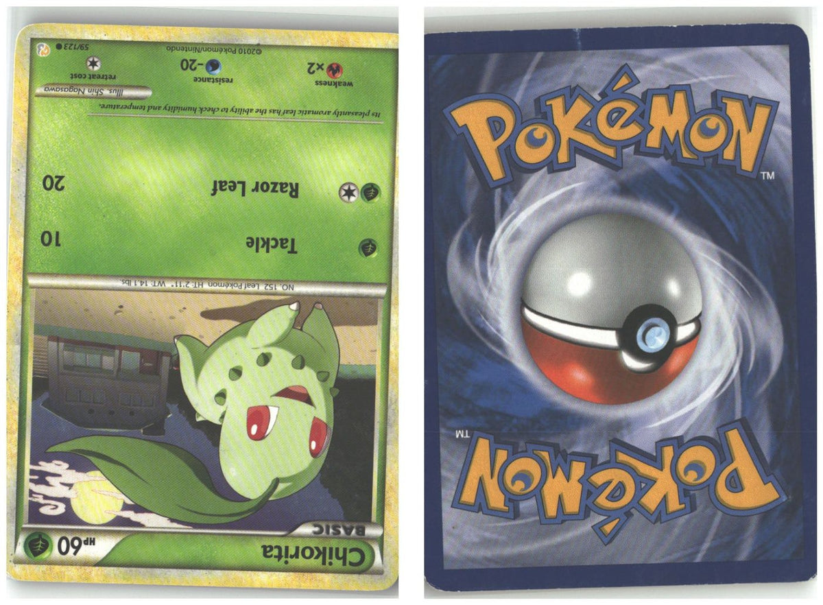 Front + Back scan