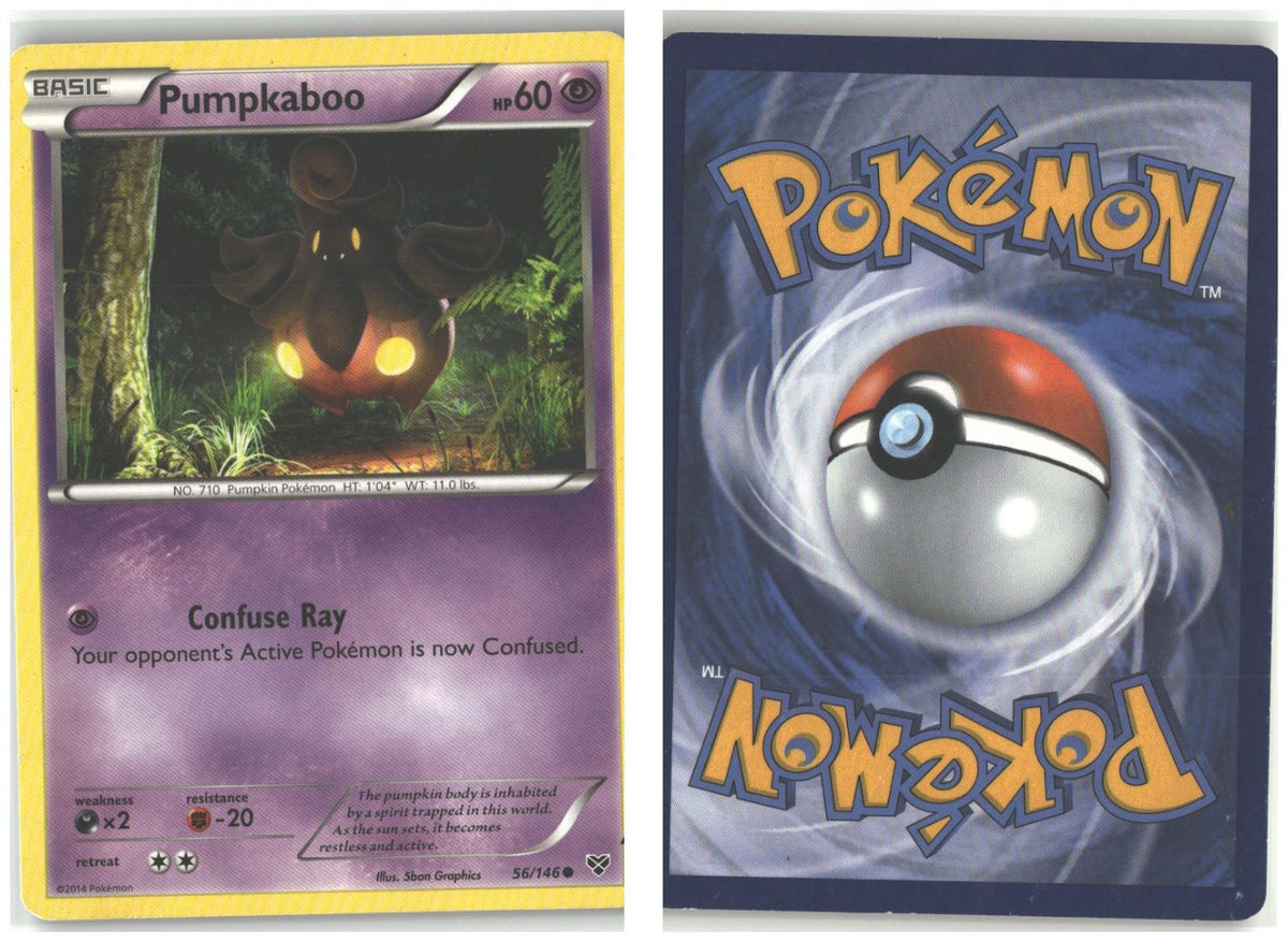 Front + Back scan