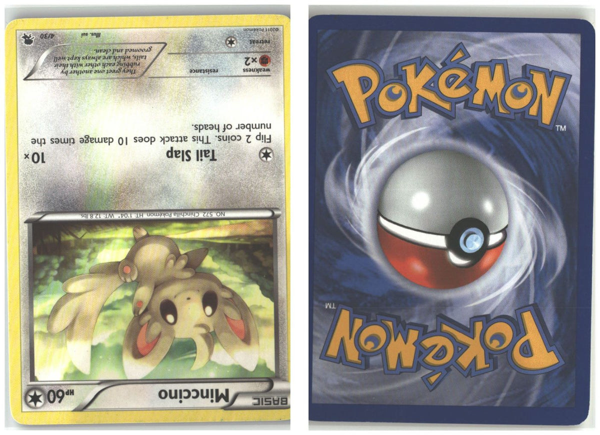 Front + Back scan