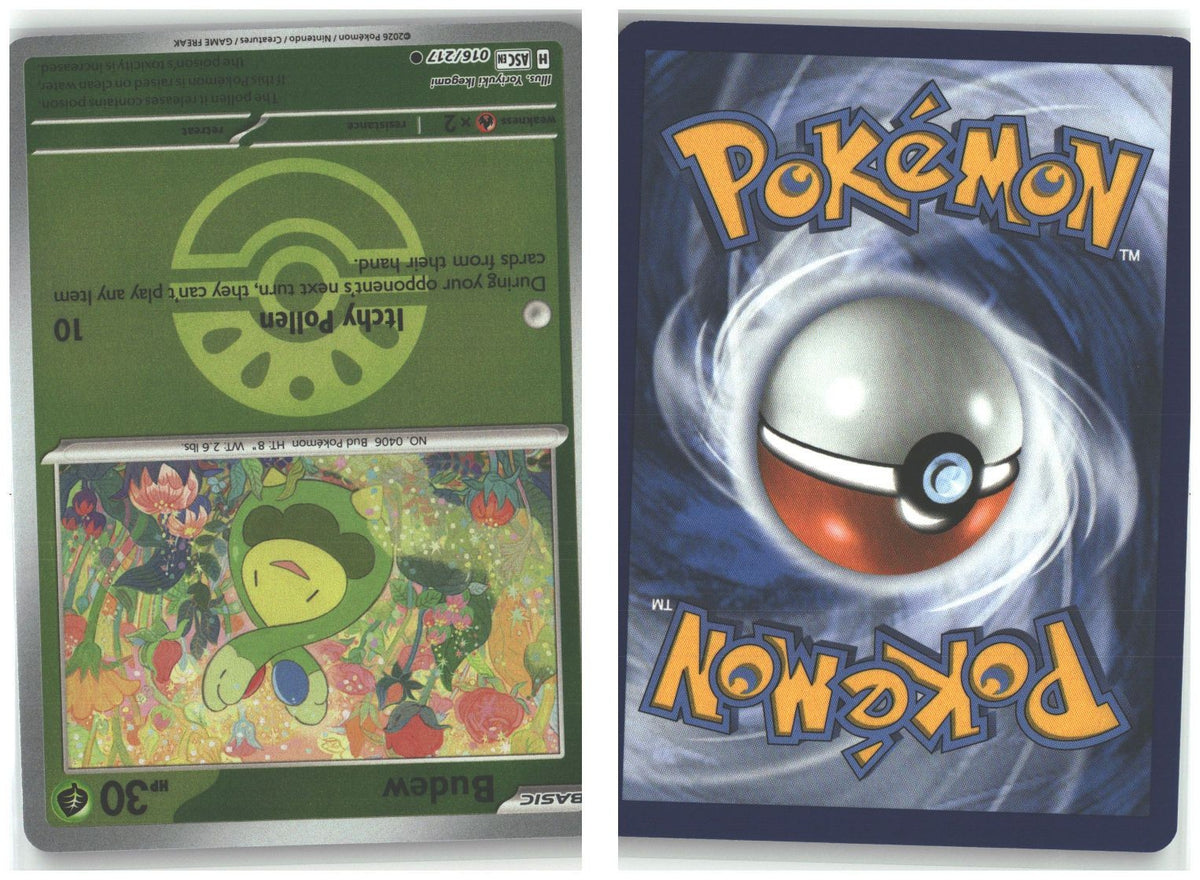 Front + Back scan