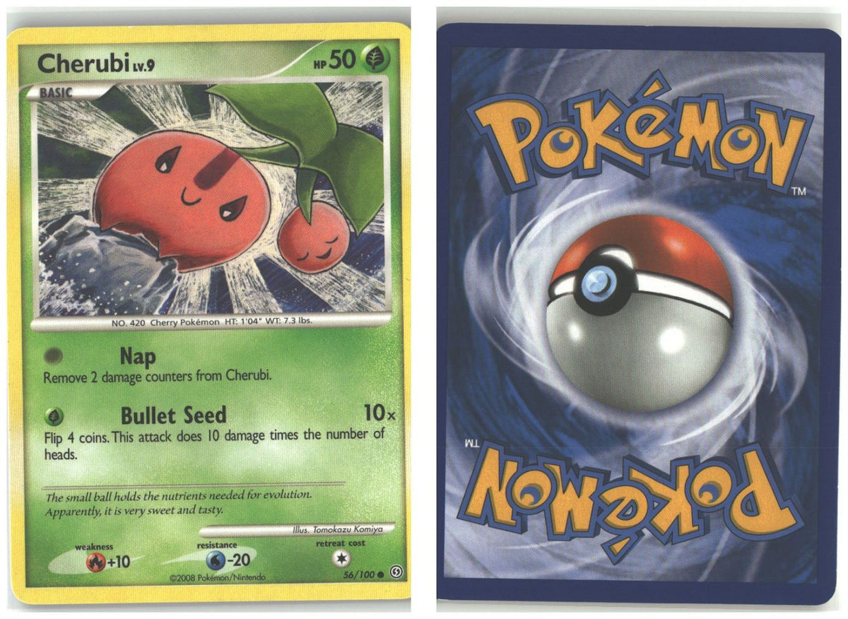 Front + Back scan