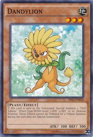 Dandylion