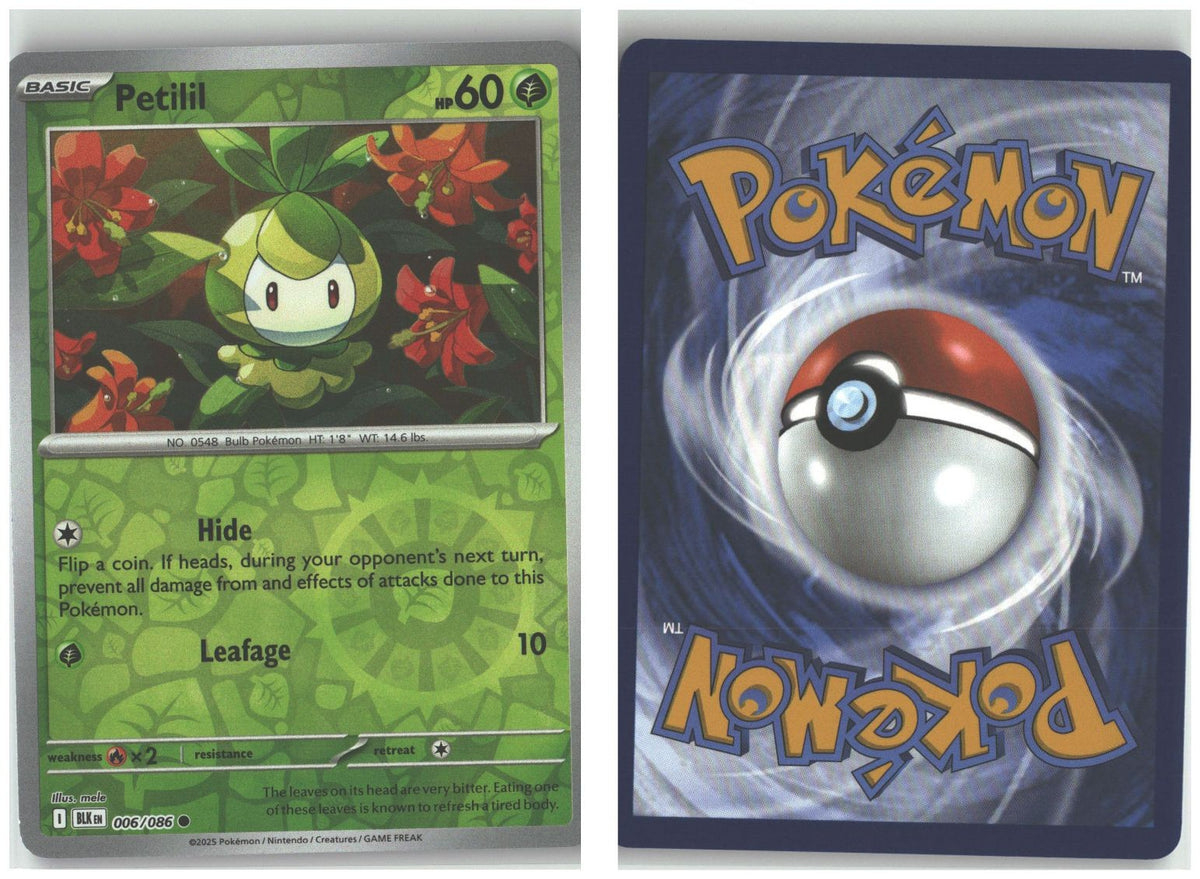 Front + Back scan