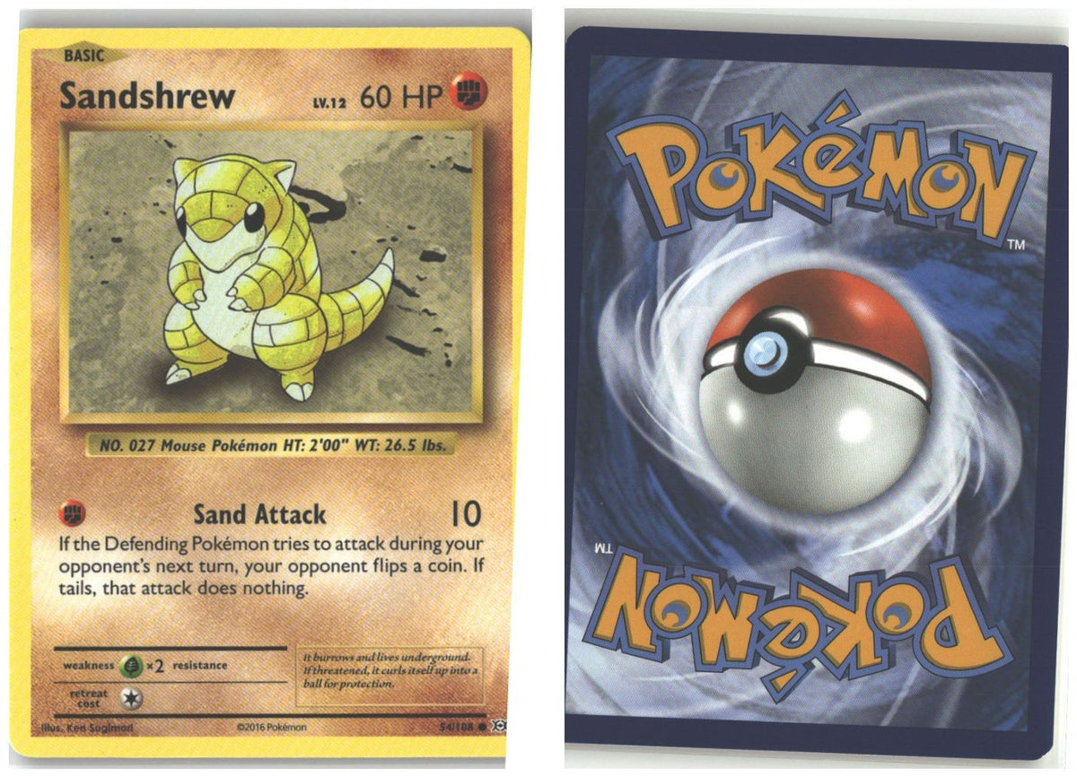 Front + Back scan