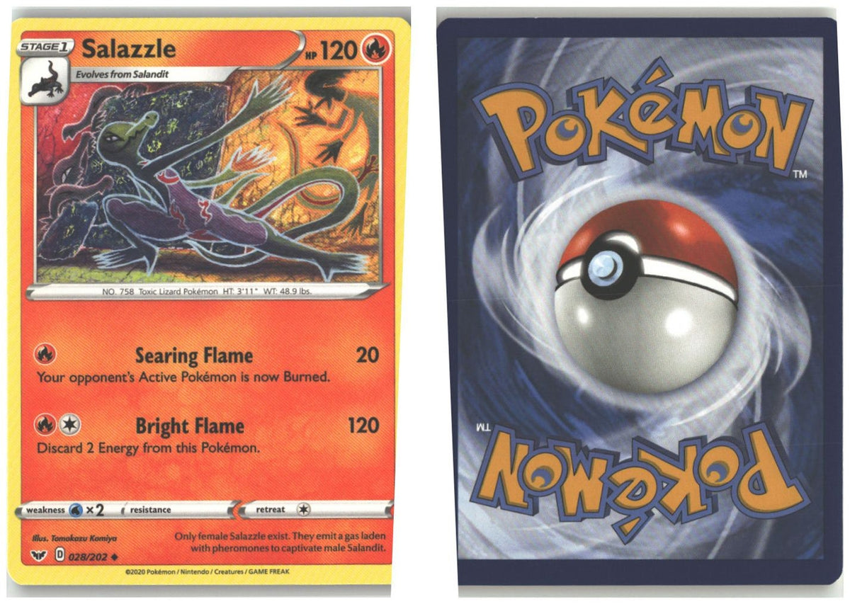 Front + Back scan