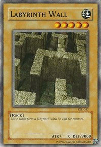 Labyrinth Wall