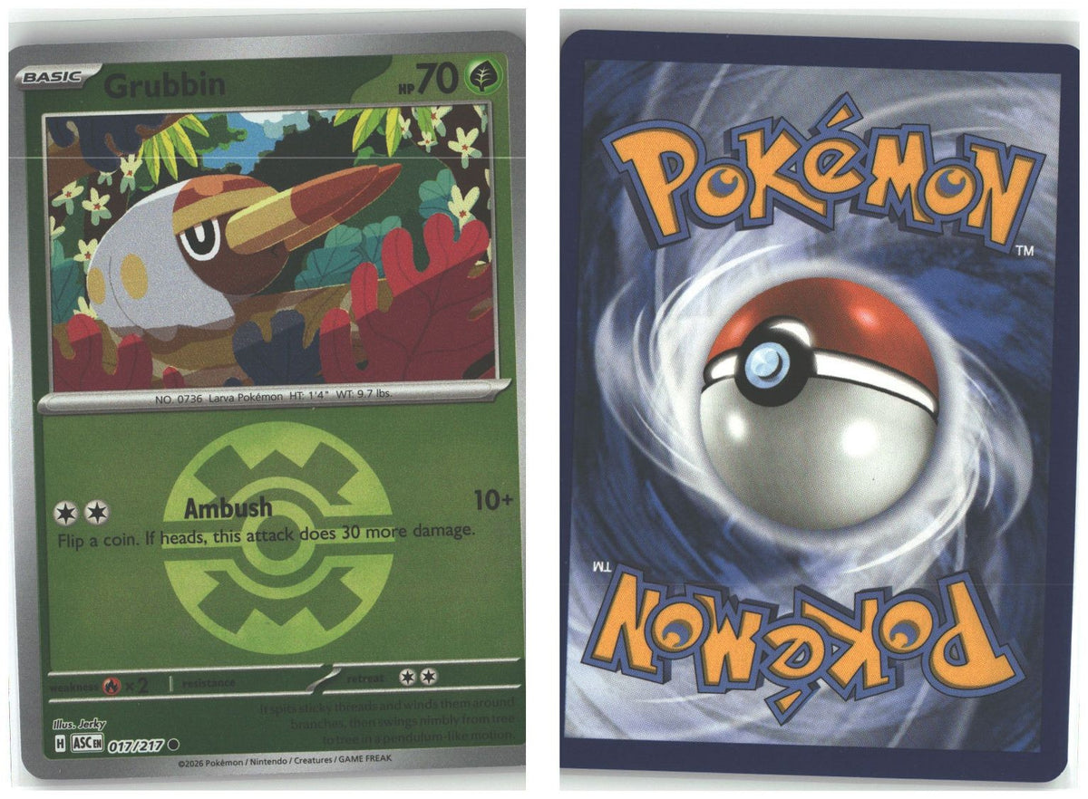Front + Back scan