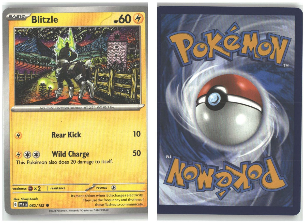 Front + Back scan