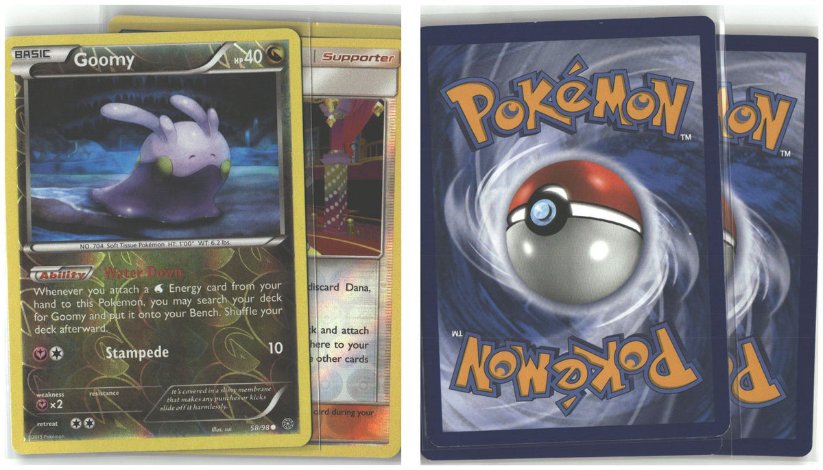 Front + Back scan