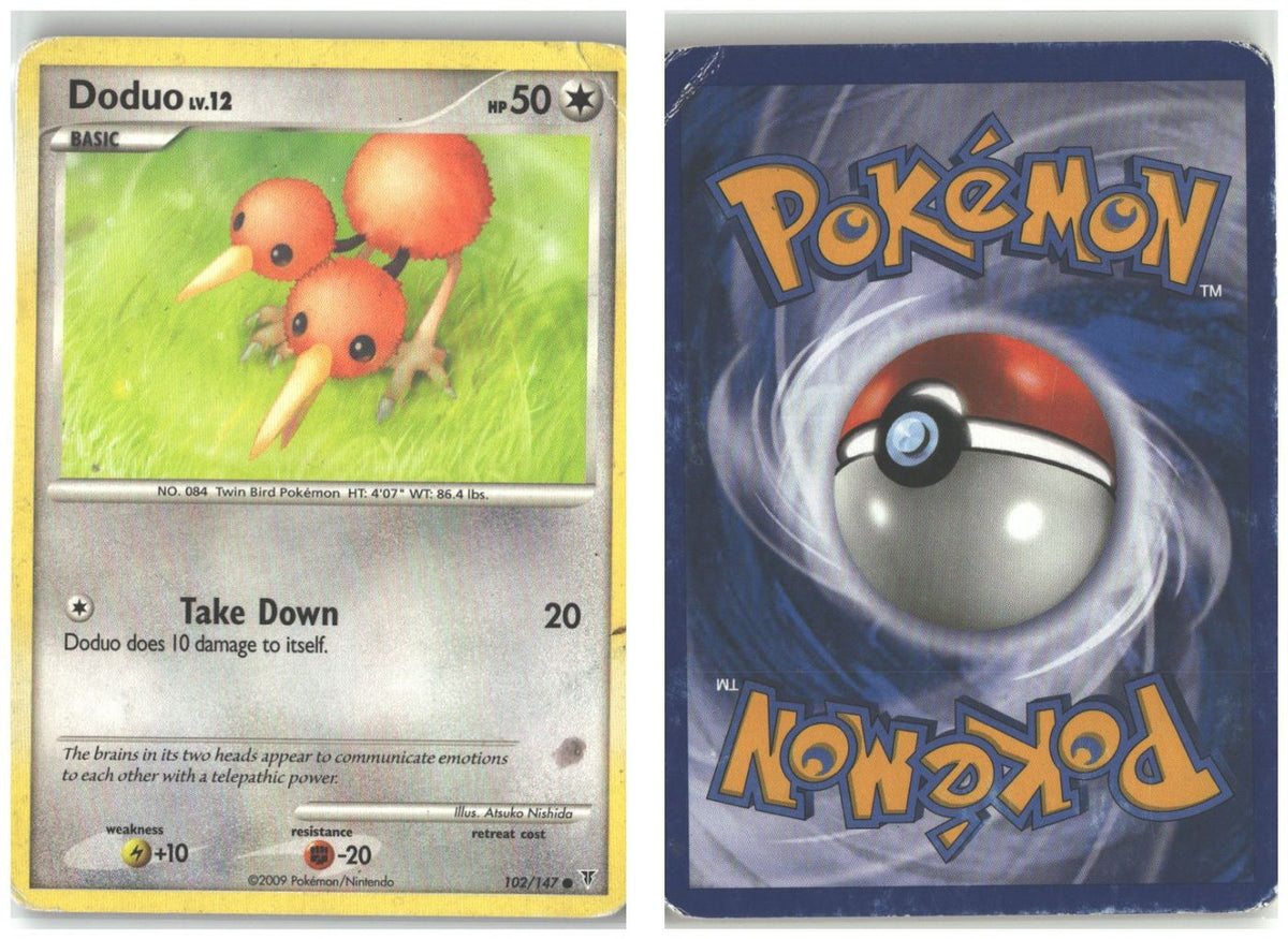 Front + Back scan