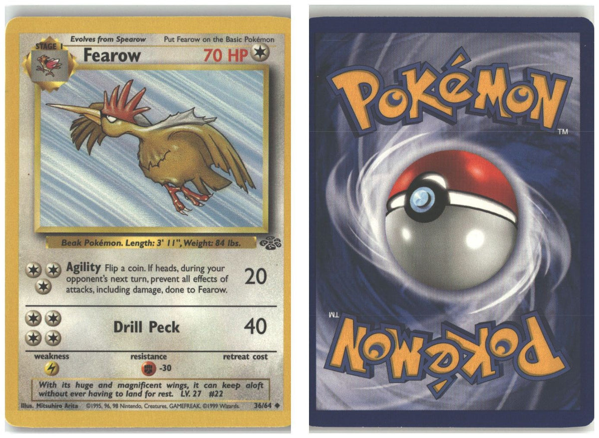 Front + Back scan
