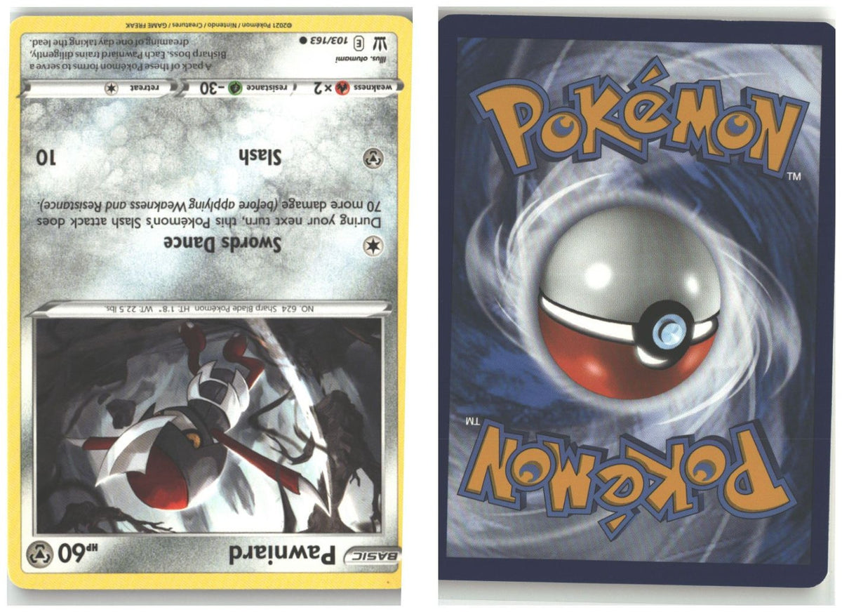 Front + Back scan