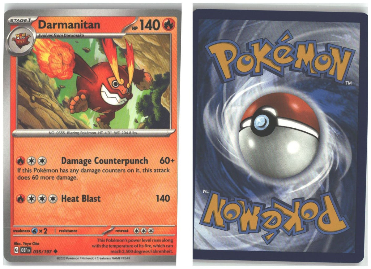 Front + Back scan