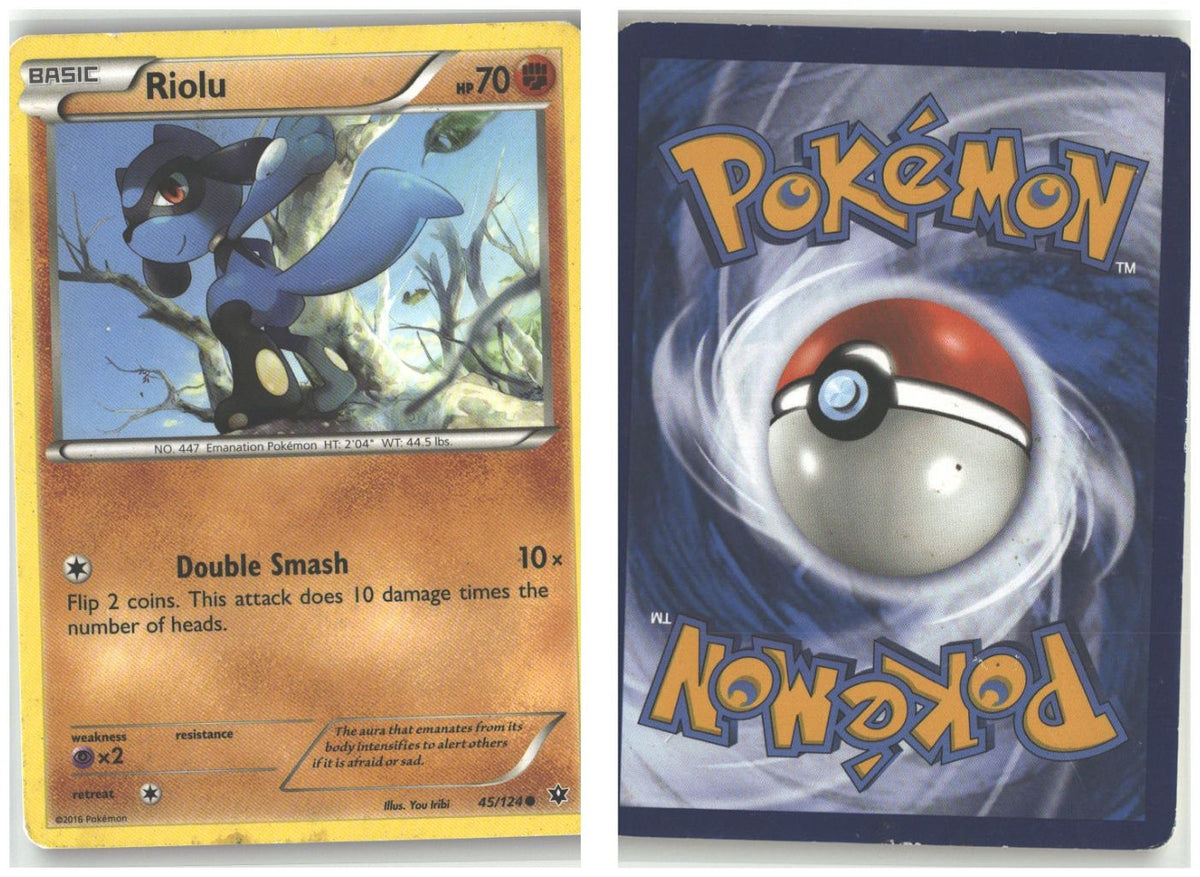 Front + Back scan