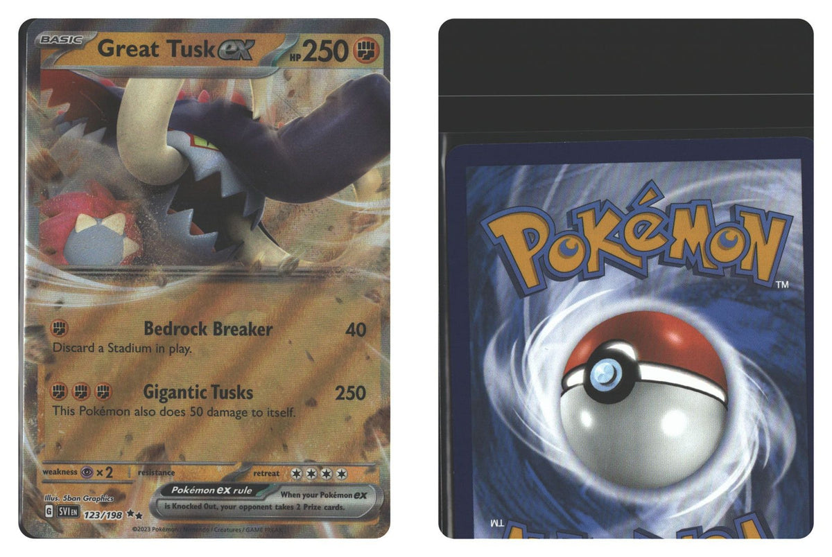 Front + Back scan