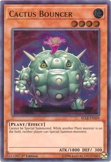 Cactus Bouncer