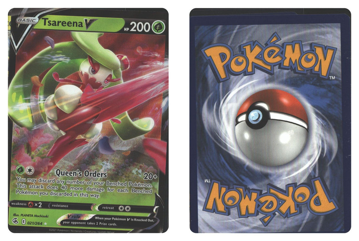 Front + Back scan