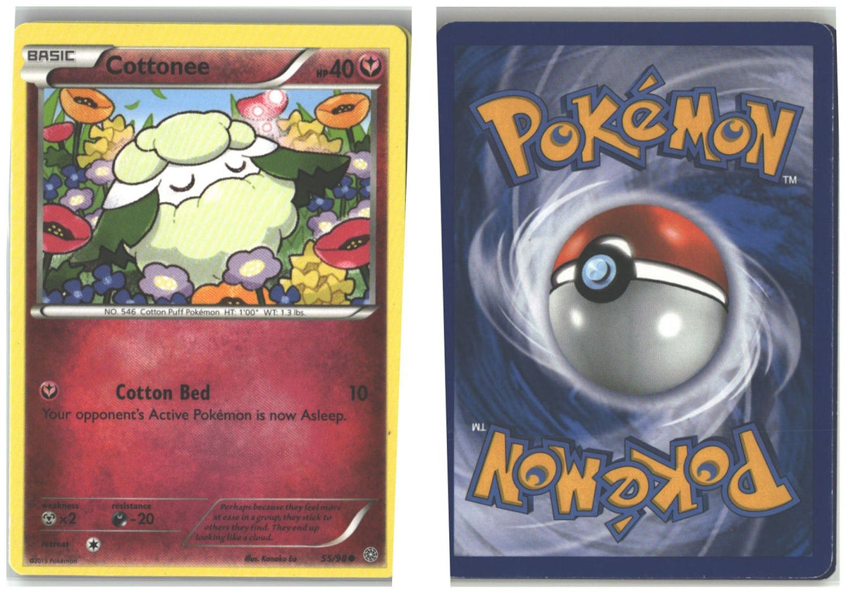 Front + Back scan