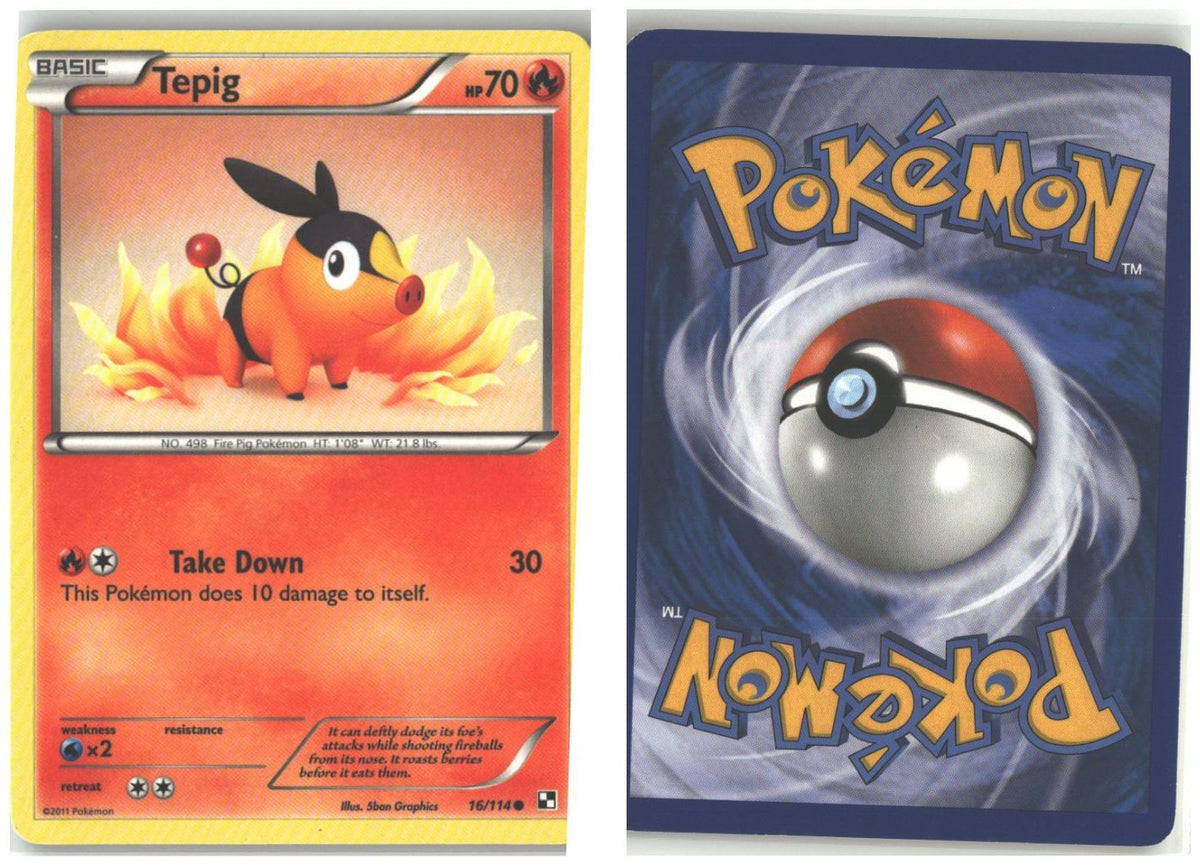 Front + Back scan