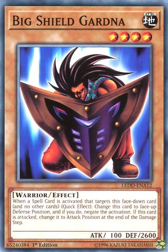 Big Shield Gardna
