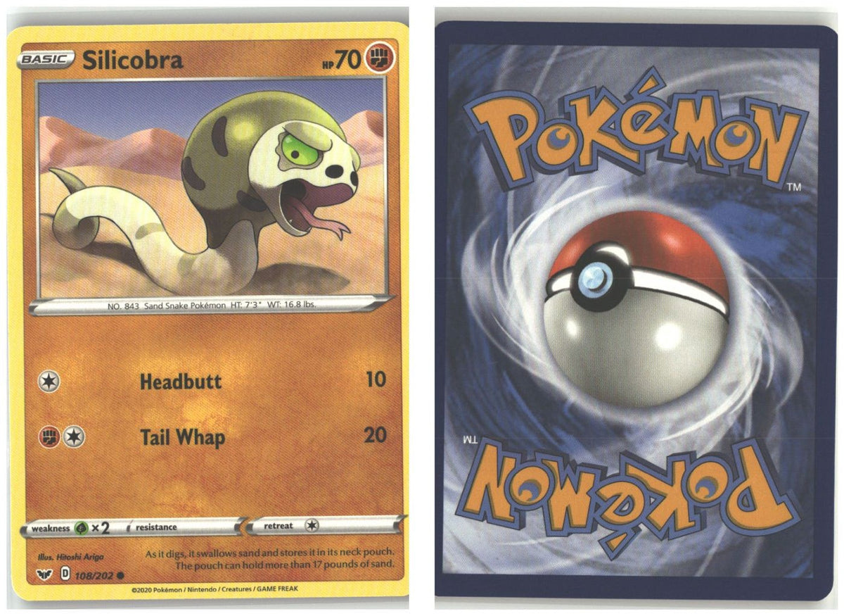 Front + Back scan