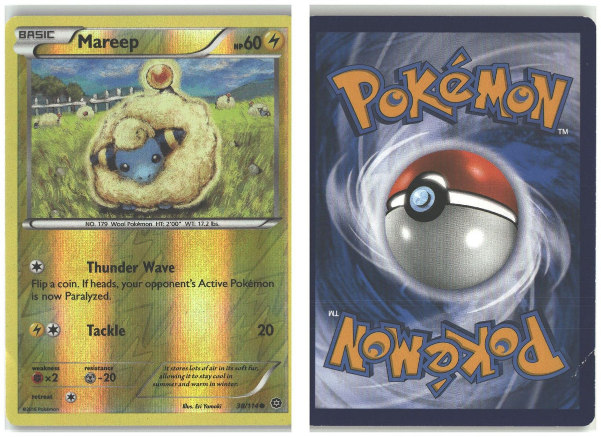 Front + Back scan