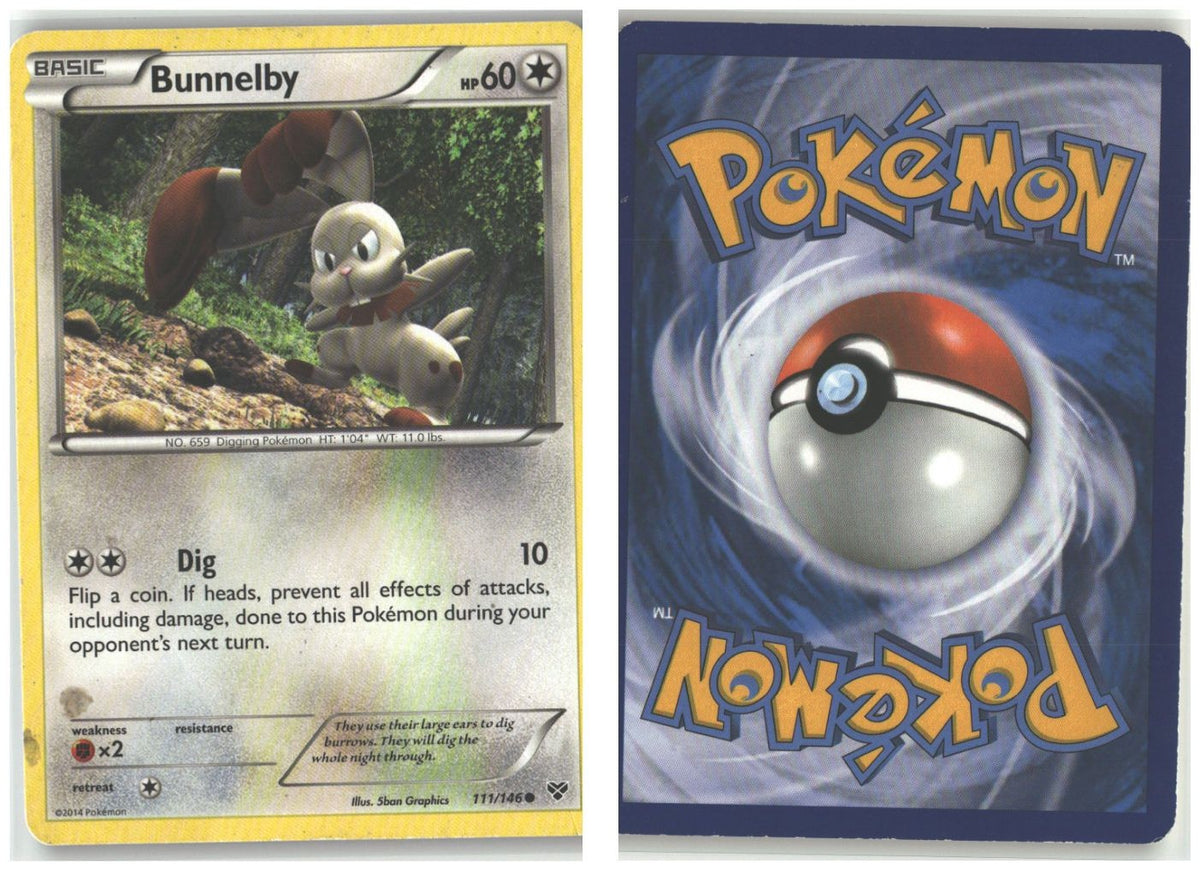 Front + Back scan