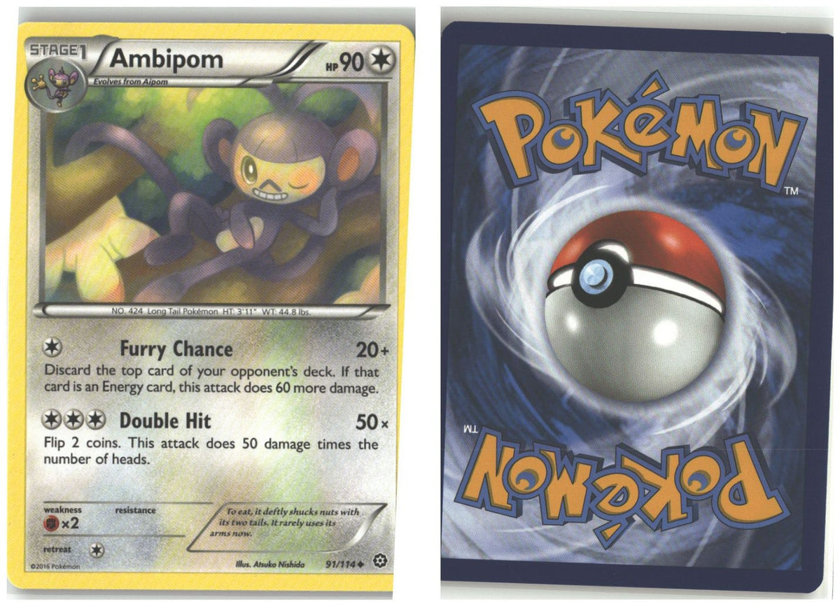 Front + Back scan