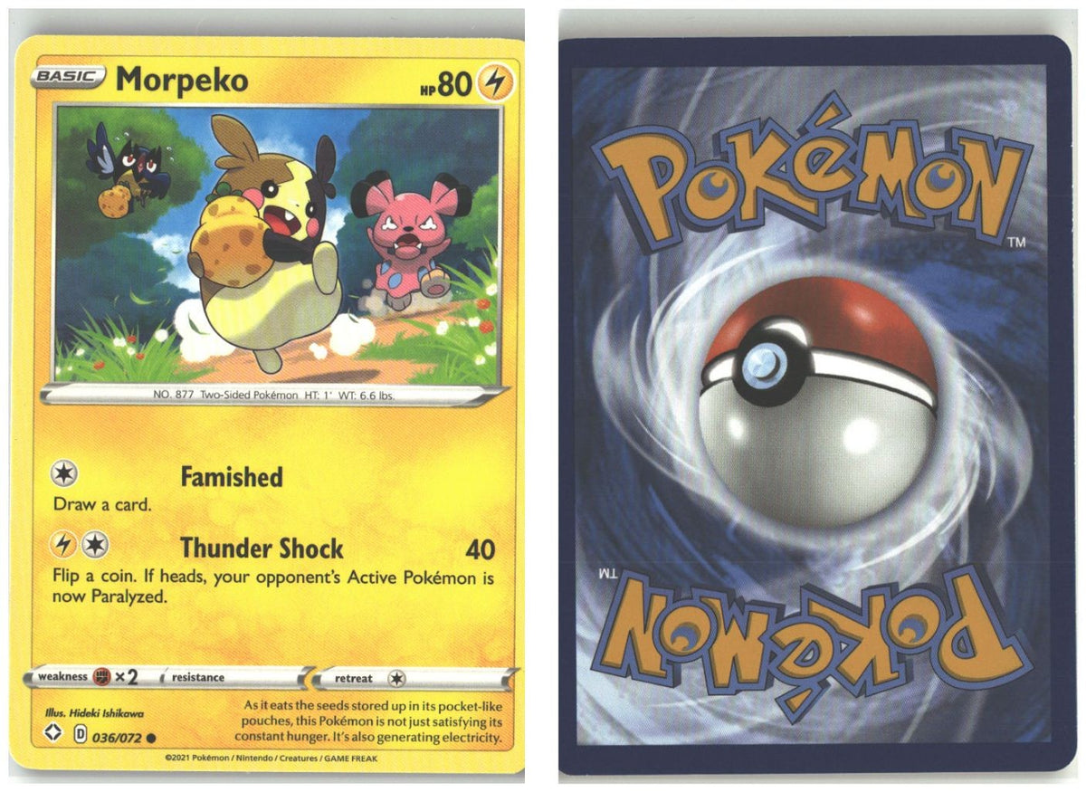 Front + Back scan