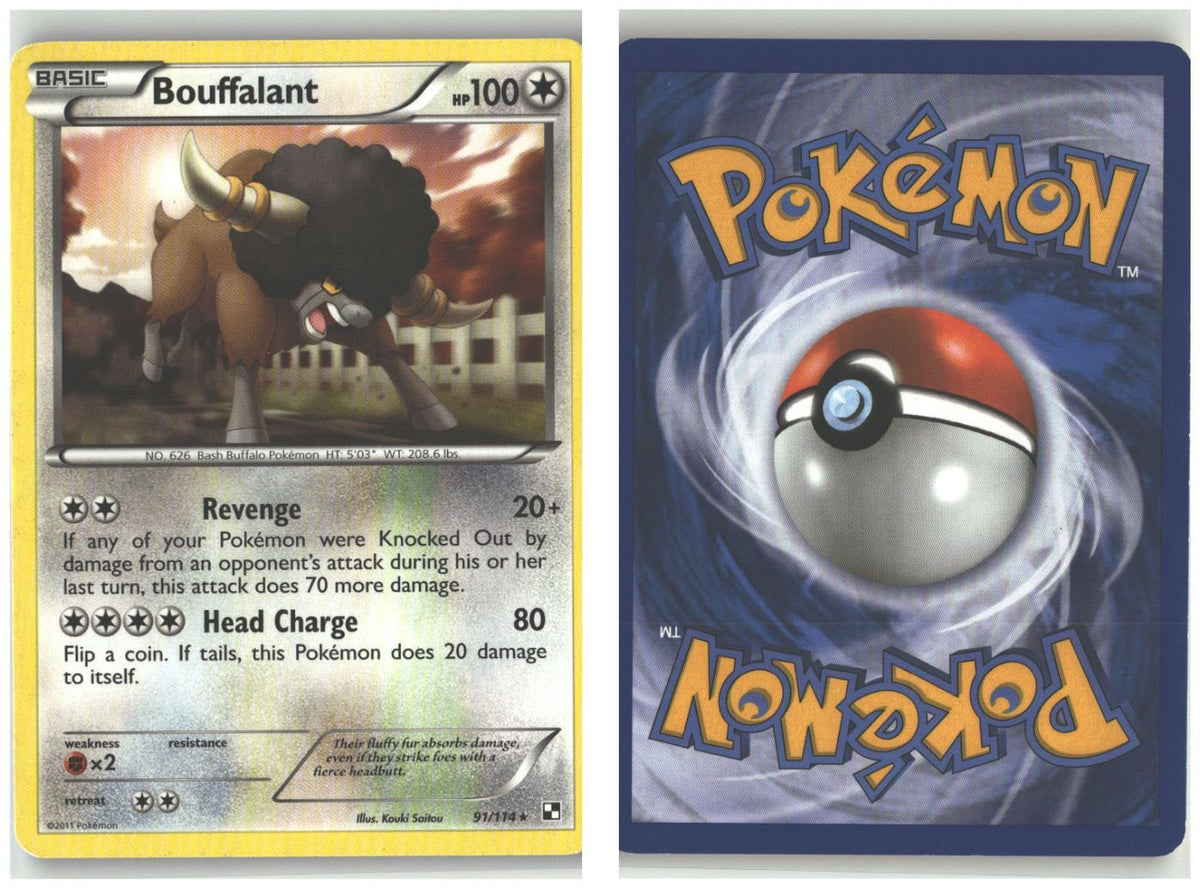 Front + Back scan