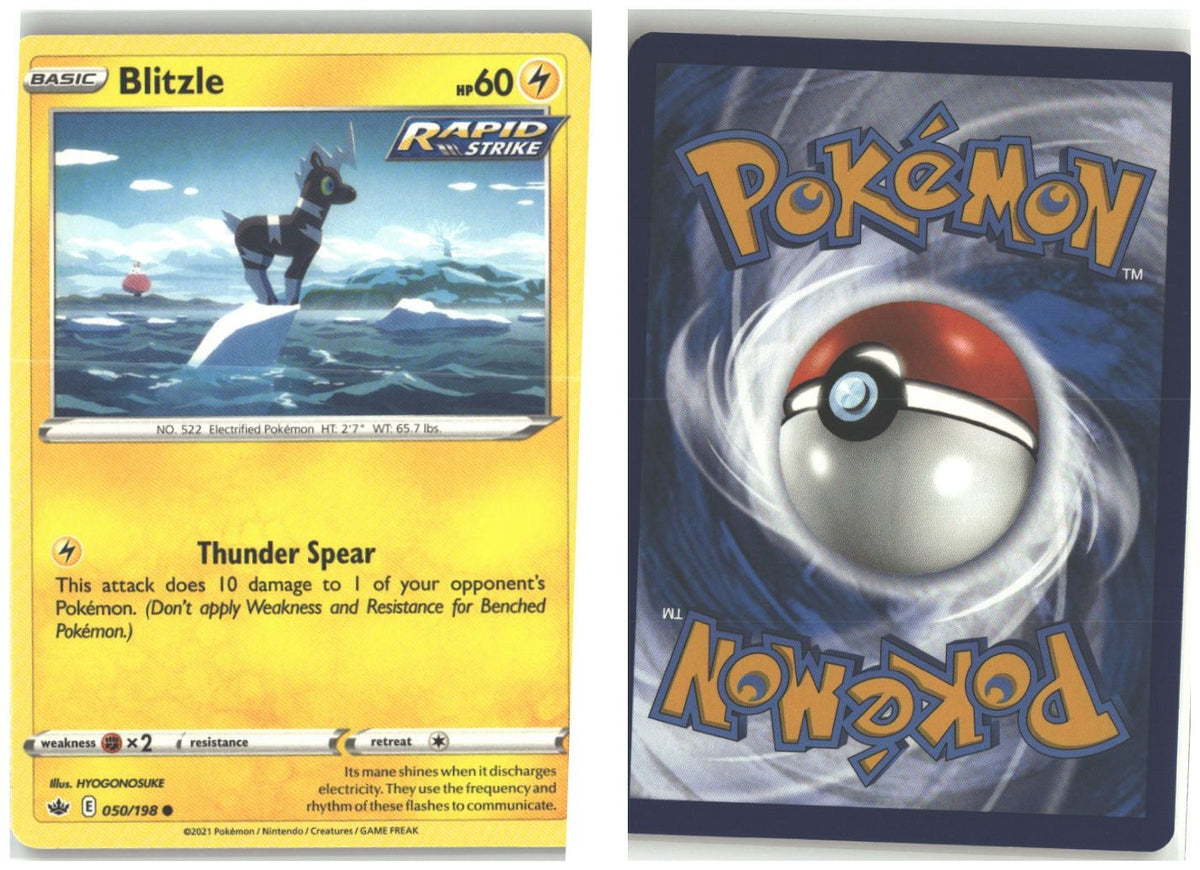 Front + Back scan
