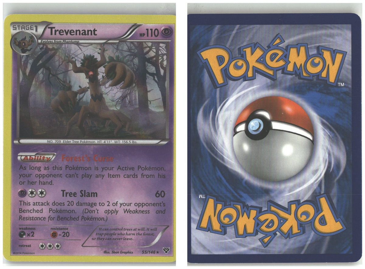 Front + Back scan