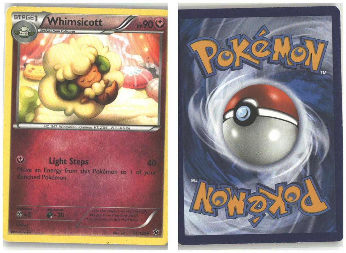 Front + Back scan