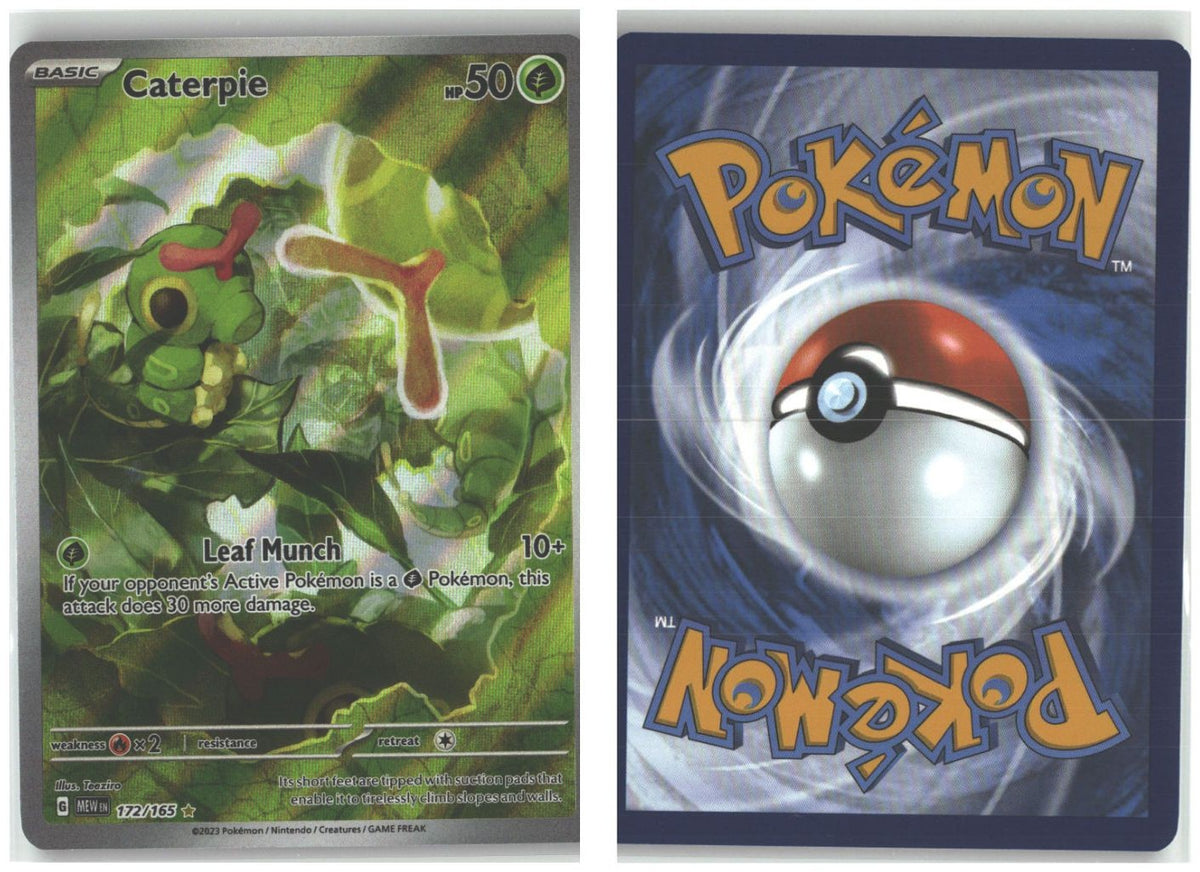 Front + Back scan