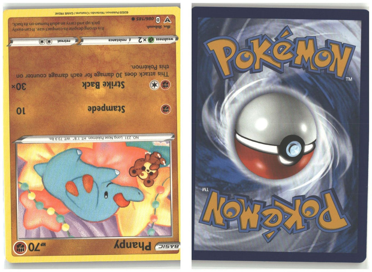 Front + Back scan
