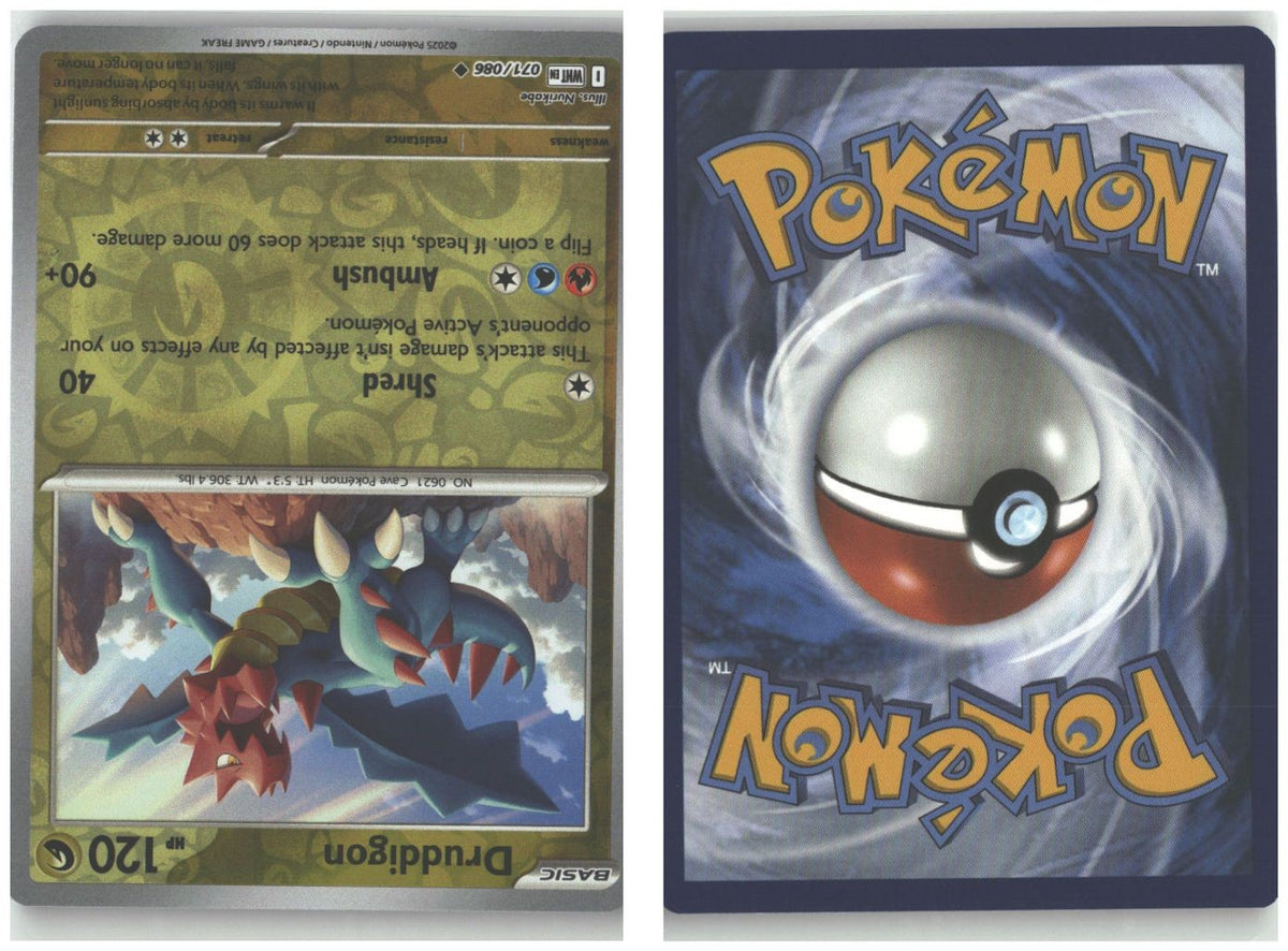 Front + Back scan