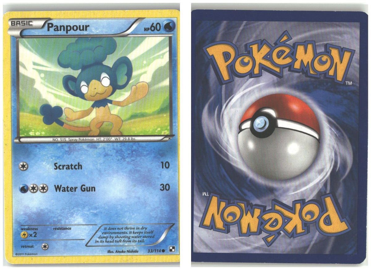 Front + Back scan