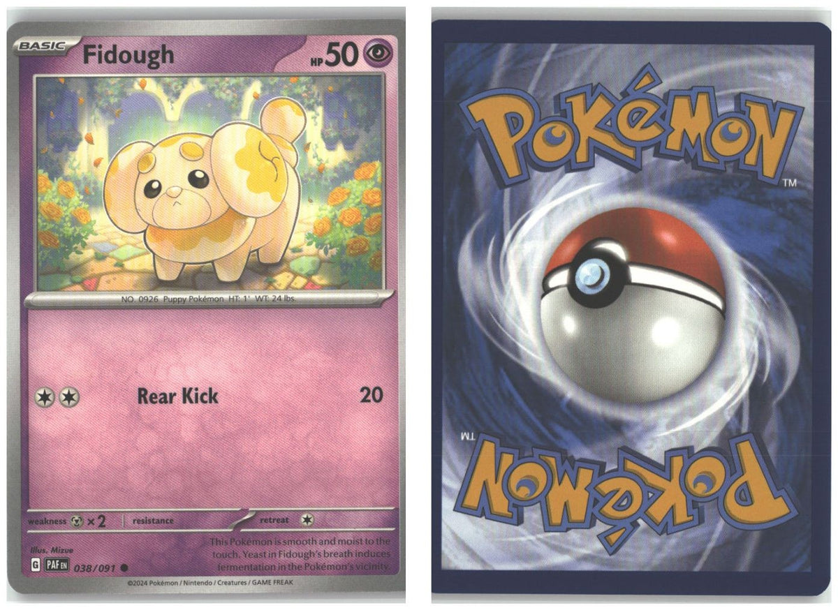 Front + Back scan
