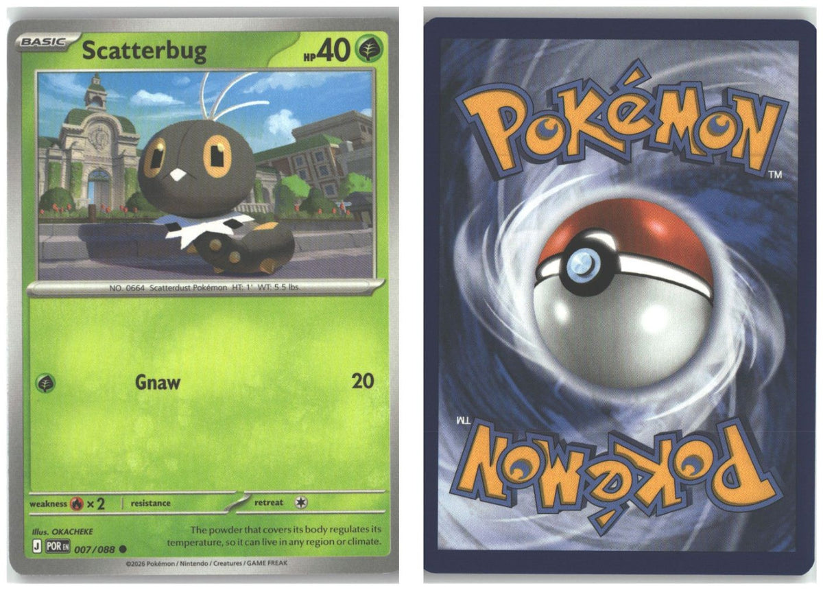Front + Back scan