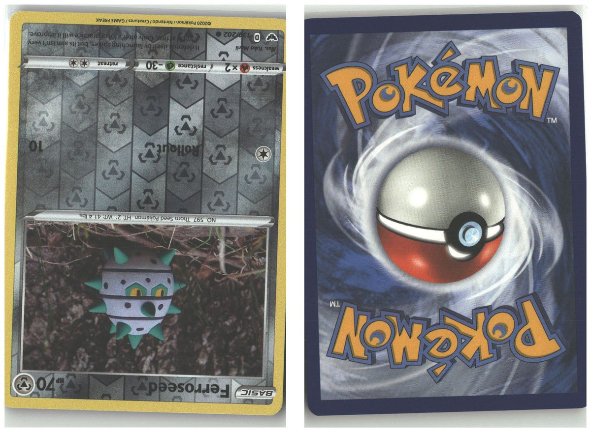 Front + Back scan