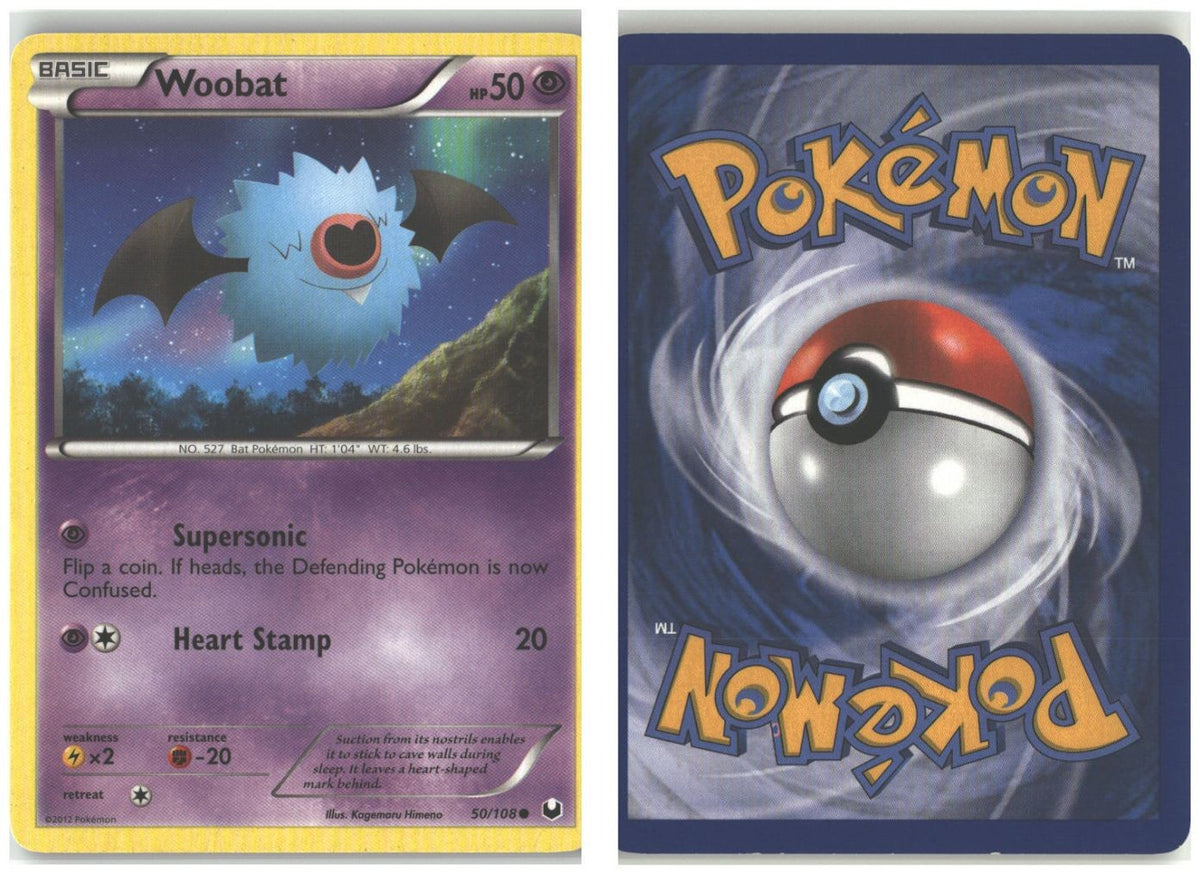 Front + Back scan