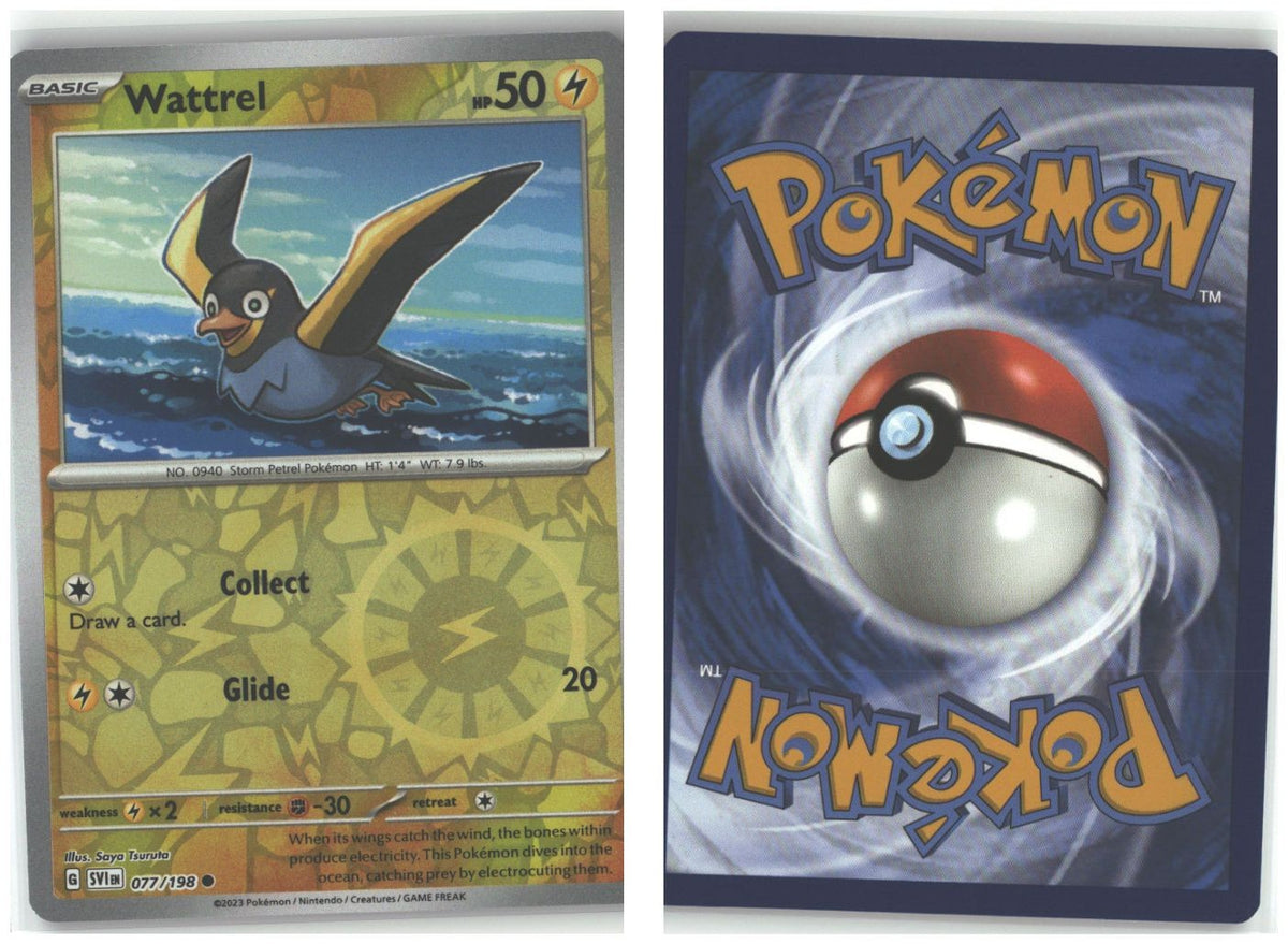 Front + Back scan