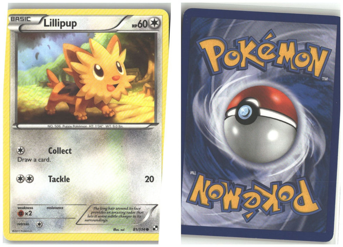 Front + Back scan