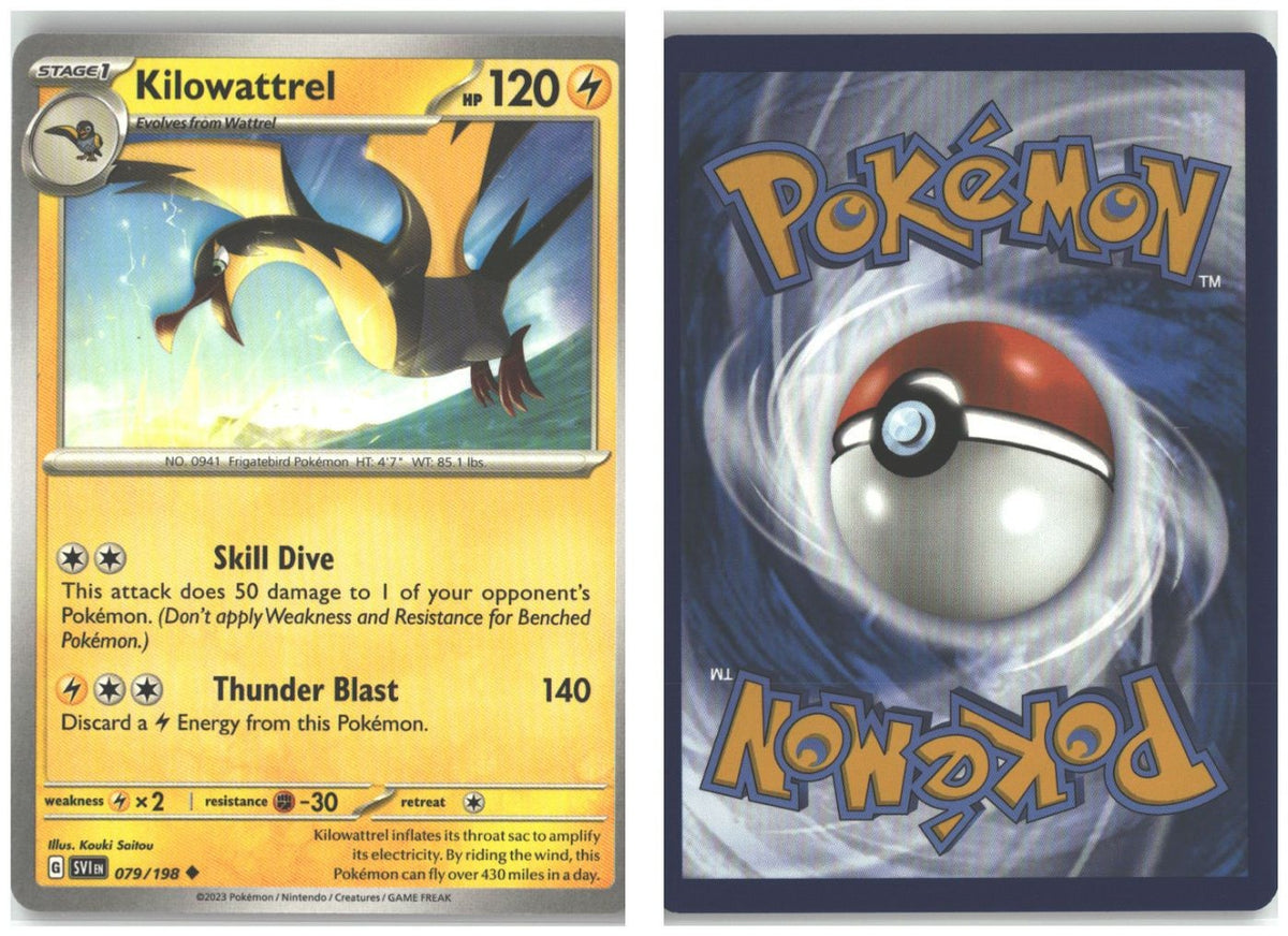 Front + Back scan