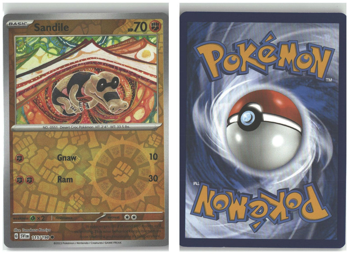 Front + Back scan