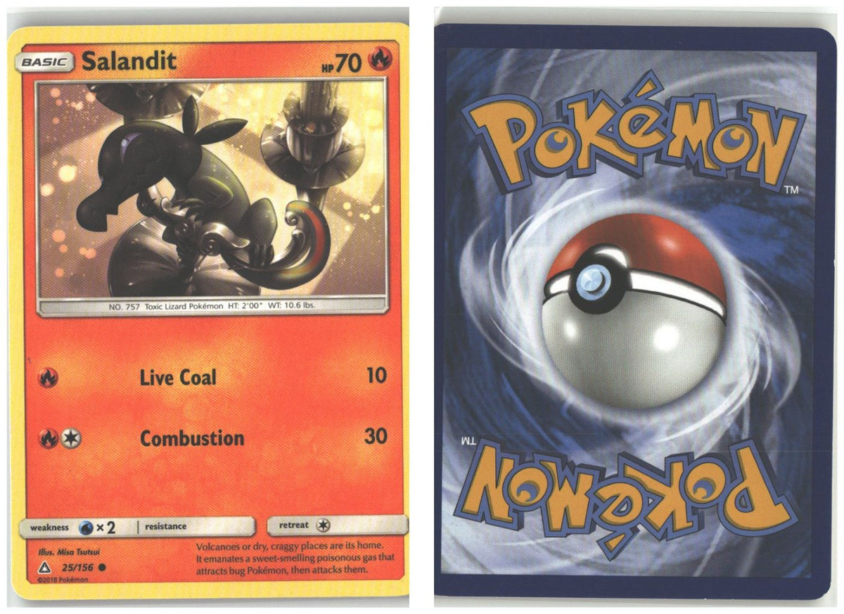 Front + Back scan